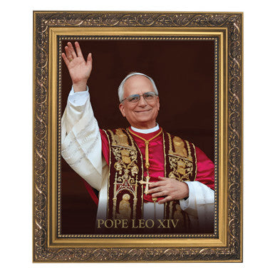 FRM PRT Pope Leo