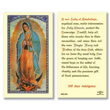 HCL 25P Our Lady of Guadalupe