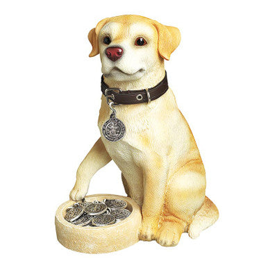 Dog Display Filled