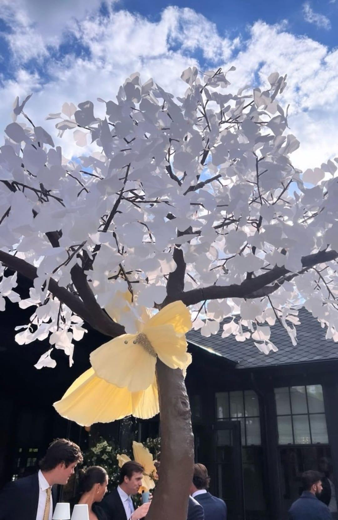 Giant Paper Butterfly
